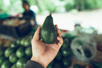 Close-up of hand holding fruit