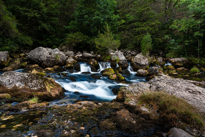 Stream flowing through rocks in forest