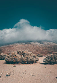 Scenic view of arid landscape against sky