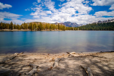 Scenic view of lake in forest against sky