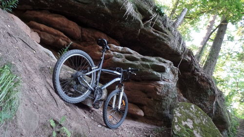 Bicycle on tree trunk by rock