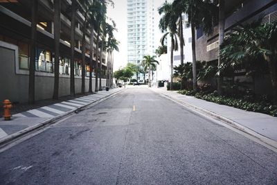 Empty road amidst buildings in city