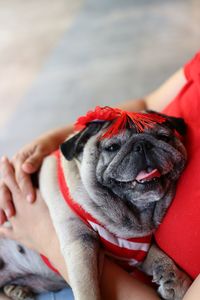 Close-up of woman with dog