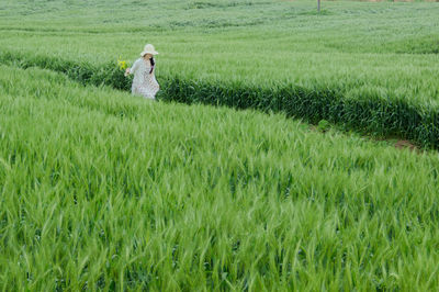 Rear view of woman standing on grassy field