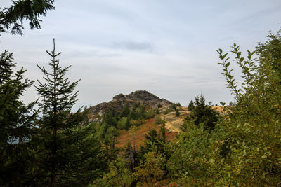 Scenic view of trees and mountains against sky