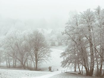 Trees on snow covered landscape during winter