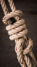 Close-up of rope tied up