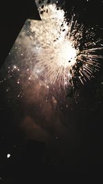 Low angle view of firework display