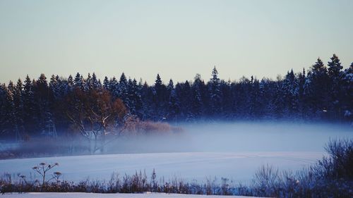 Frozen sunshine snow and fog