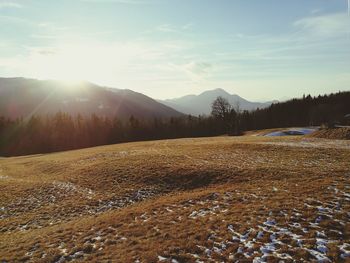 Scenic view of landscape against sky