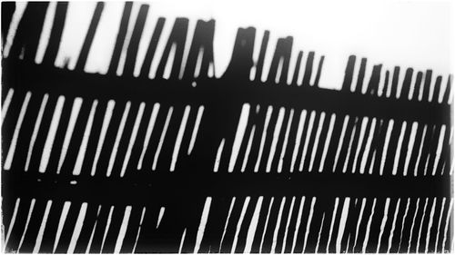 Full frame shot of pattern