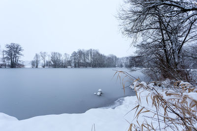 Frozen lake on a cold winter morning