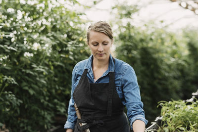 Female gardener wearing apron and looking at potted plants in greenhouse