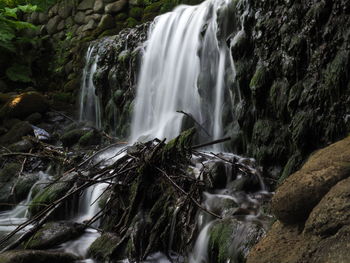 View of waterfall in forest