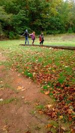 People on grass in park