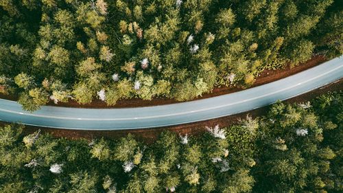 Empty road from above