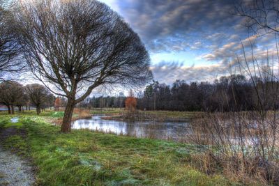 Bare trees on lakeshore against cloudy sky