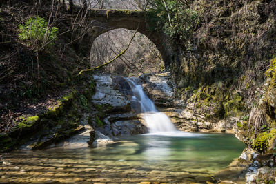 Scenic view of waterfall in forest