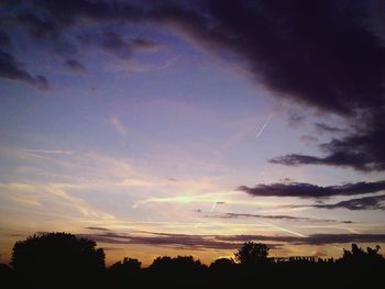 Silhouette of trees at sunset