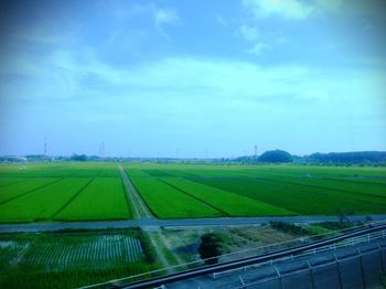 Scenic view of agricultural field against sky