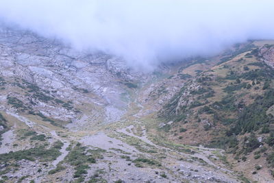 environment