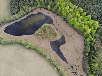 High angle view of lake amidst trees