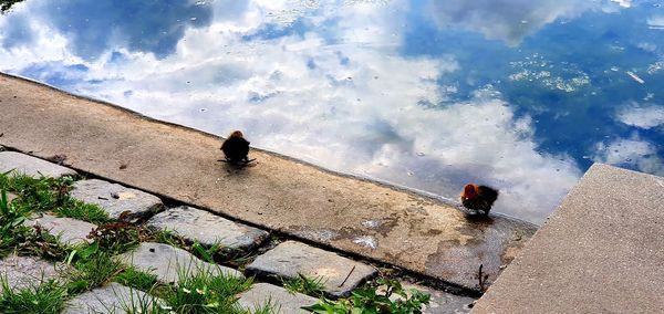 High angle view of people sitting on shore against sky