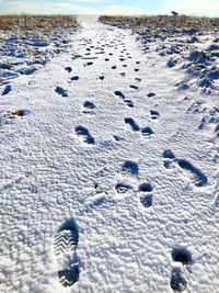 High angle view of footprints on snow covered field