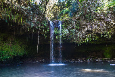 Scenic view of waterfall in forest