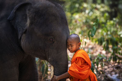 Monk embracing elephant in forest