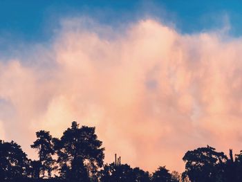 Low angle view of trees against cloudy sky