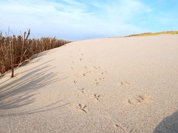 Sand dune on beach against sky