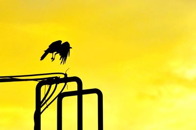 Low angle view of bird perching on yellow against sky