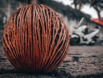 Close-up of banana ball on land