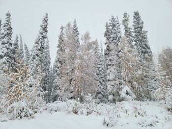 Panoramic view of snow covered landscape against sky