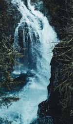 Scenic view of waterfall in forest