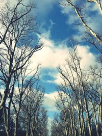 Low angle view of bare trees against cloudy sky