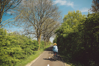 Rear view of woman riding bicycle on road amidst trees during sunny day