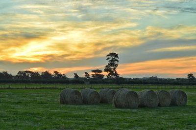 Scenic view of grassy field against cloudy sky