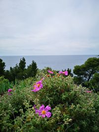 Scenic view of sea against cloudy sky