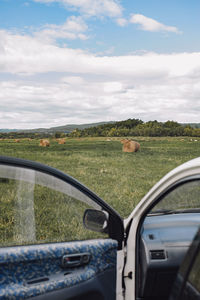 Road seen through car windshield