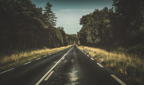 Empty road amidst trees against sky