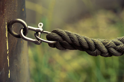 Close-up of rope fence