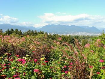 Scenic view of field against cloudy sky