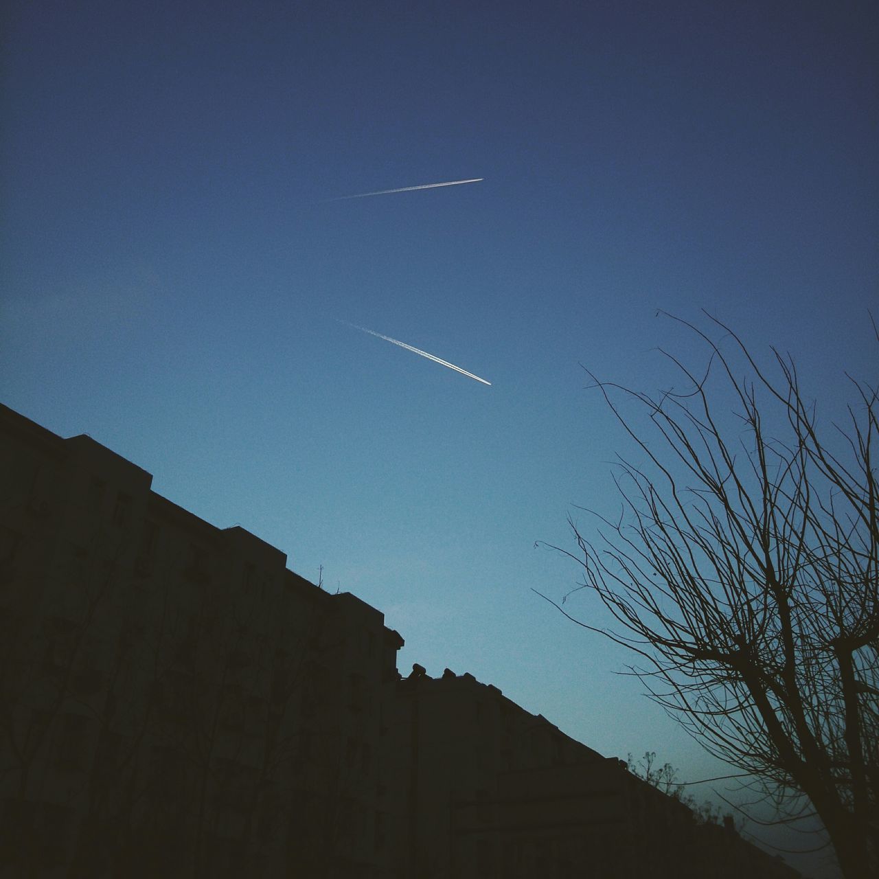 low angle view, silhouette, clear sky, copy space, blue, dusk, flying, nature, sky, built structure, outdoors, beauty in nature, tree, scenics, tranquility, night, architecture, moon, building exterior, vapor trail