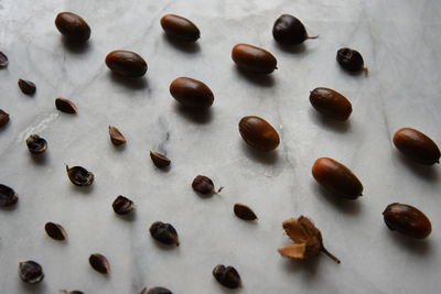 High angle view of coffee beans on table