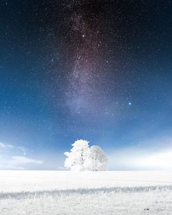 Scenic view of snow covered land against star field in sky at night