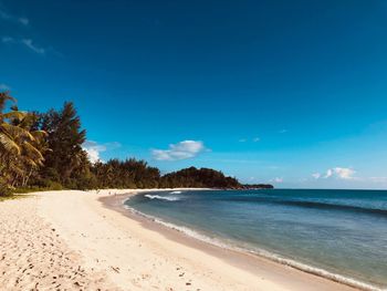 Scenic view of beach against blue sky