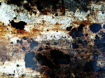 Close-up of weathered wall