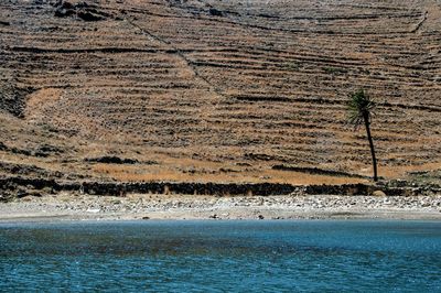 Scenic view of sea